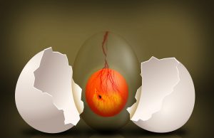 Kérdezlek, liberalizmus! A gyermek vagy a rántotta?! Abortusz