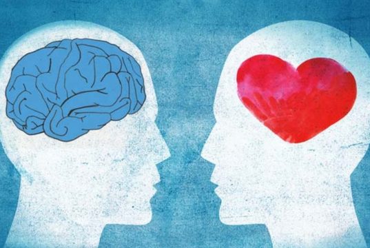 Érzelmi fogyatékos értelmiségiek érzelmi intelligencia