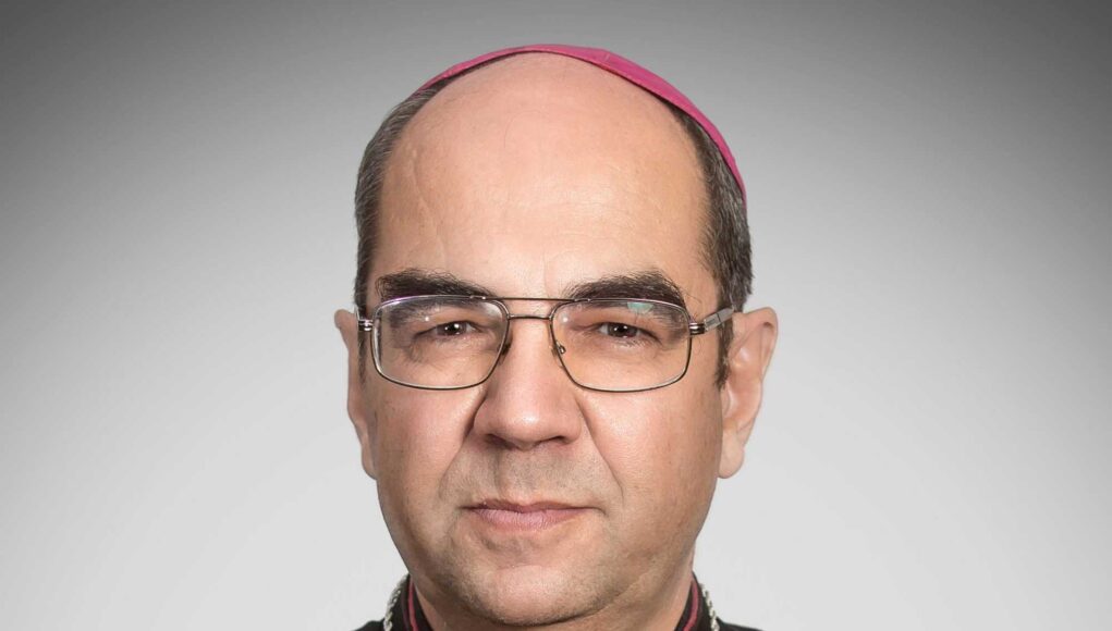 szekelyjanos genderlobbi
