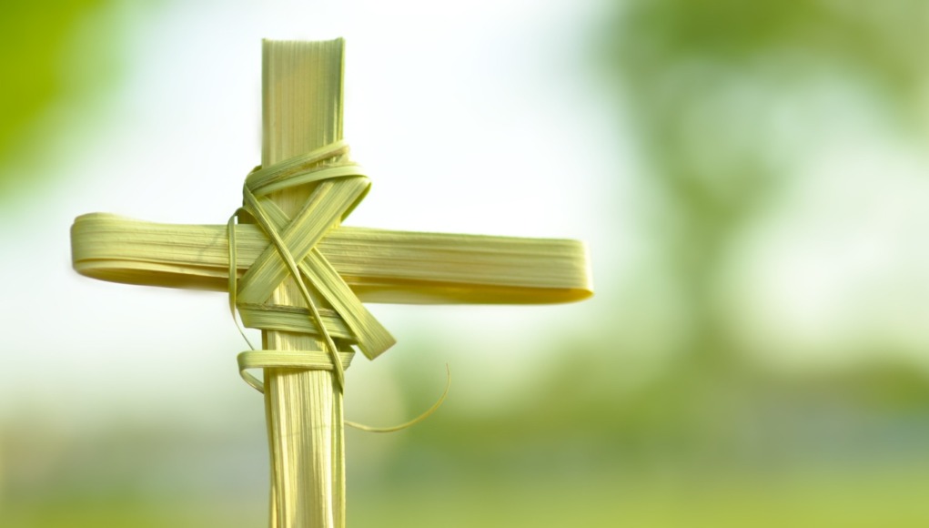 palm-sunday virágvasárnap