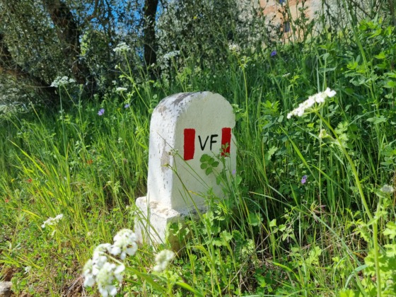 Via Francigena