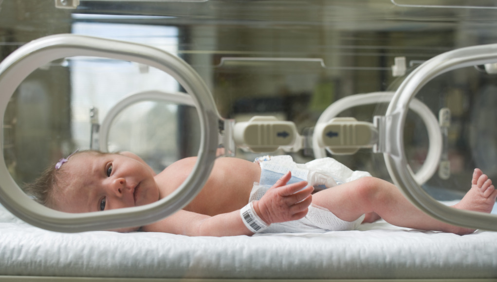Newborn baby boy in an incubator
