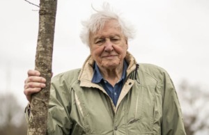 Egy elképesztő élet a Földön – Sir David Attenborough 100. születésnapjára